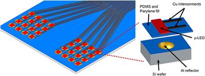 Micro-Reflector Integrated Multichannel μLED Optogenetic Neurostimulator With Enhanced Intensity